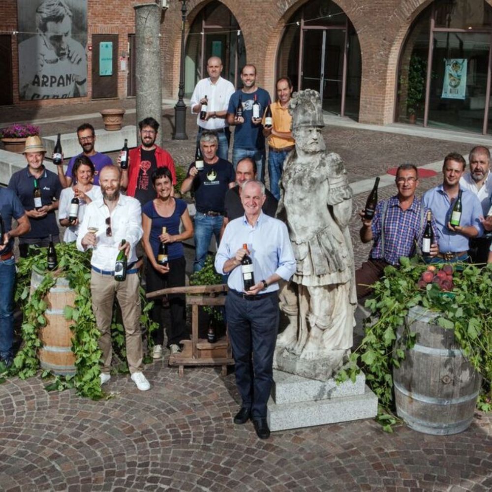 Il Timorasso dei Colli Tortonesi Cibovagare